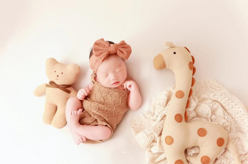 桐乡宝宝虾的做法